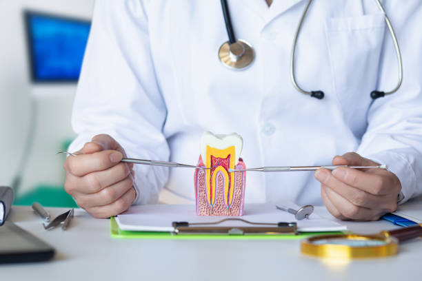 Best Pediatric Emergency Dentist in Machesney Park, IL